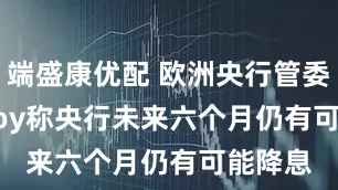 端盛康优配 欧洲央行管委Villeroy称央行未来六个月仍有可能降息