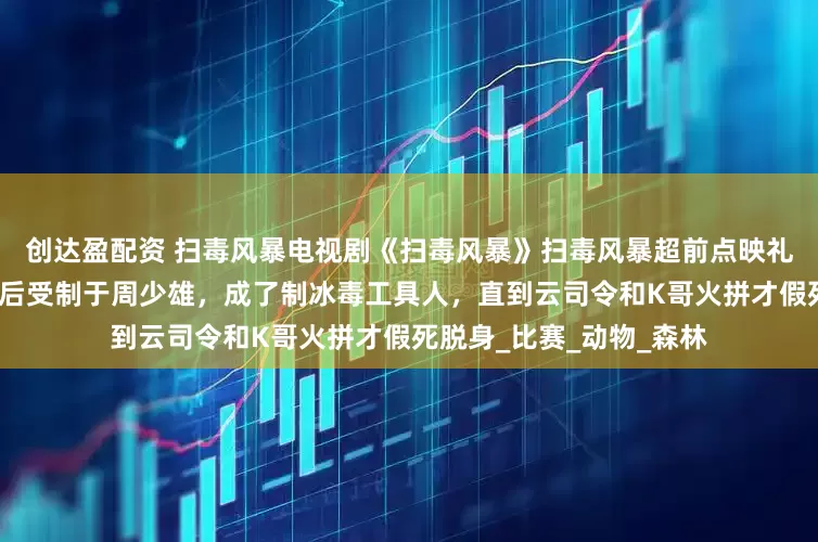 创达盈配资 扫毒风暴电视剧《扫毒风暴》扫毒风暴超前点映礼大结局：卢少骅到宛北后受制于周少雄，成了制冰毒工具人，直到云司令和K哥火拼才假死脱身_比赛_动物_森林