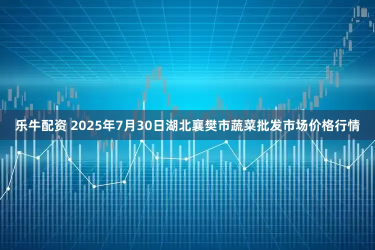 乐牛配资 2025年7月30日湖北襄樊市蔬菜批发市场价格行情