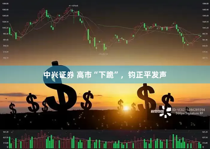 中兴证券 高市“下跪”，钧正平发声
